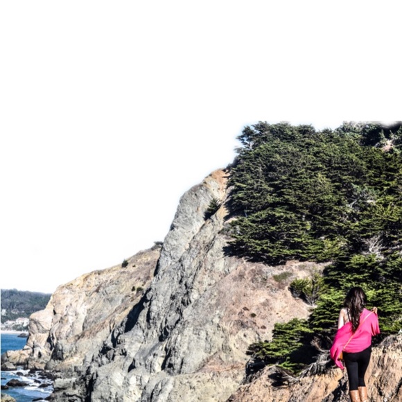 Meet your Posher, Cece - Picture 1 of 1